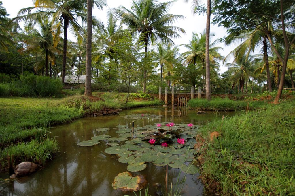 Hotel Shreyas Retreat à Nelamangala Extérieur photo